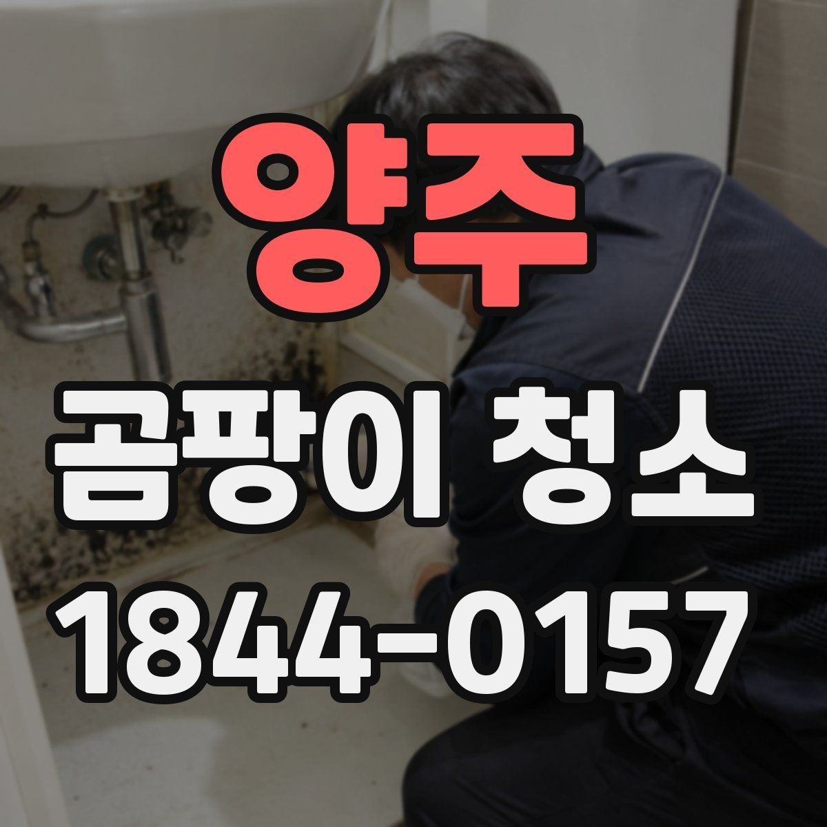 양주 곰팡이 청소 전 가구 이동이 필요한 경우
