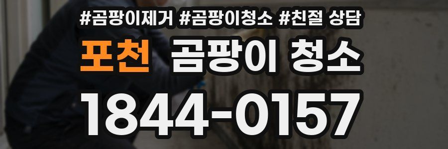 포천 곰팡이 청소