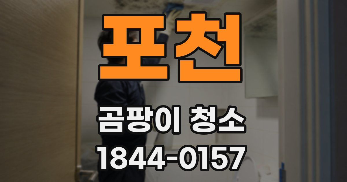 포천 곰팡이 청소