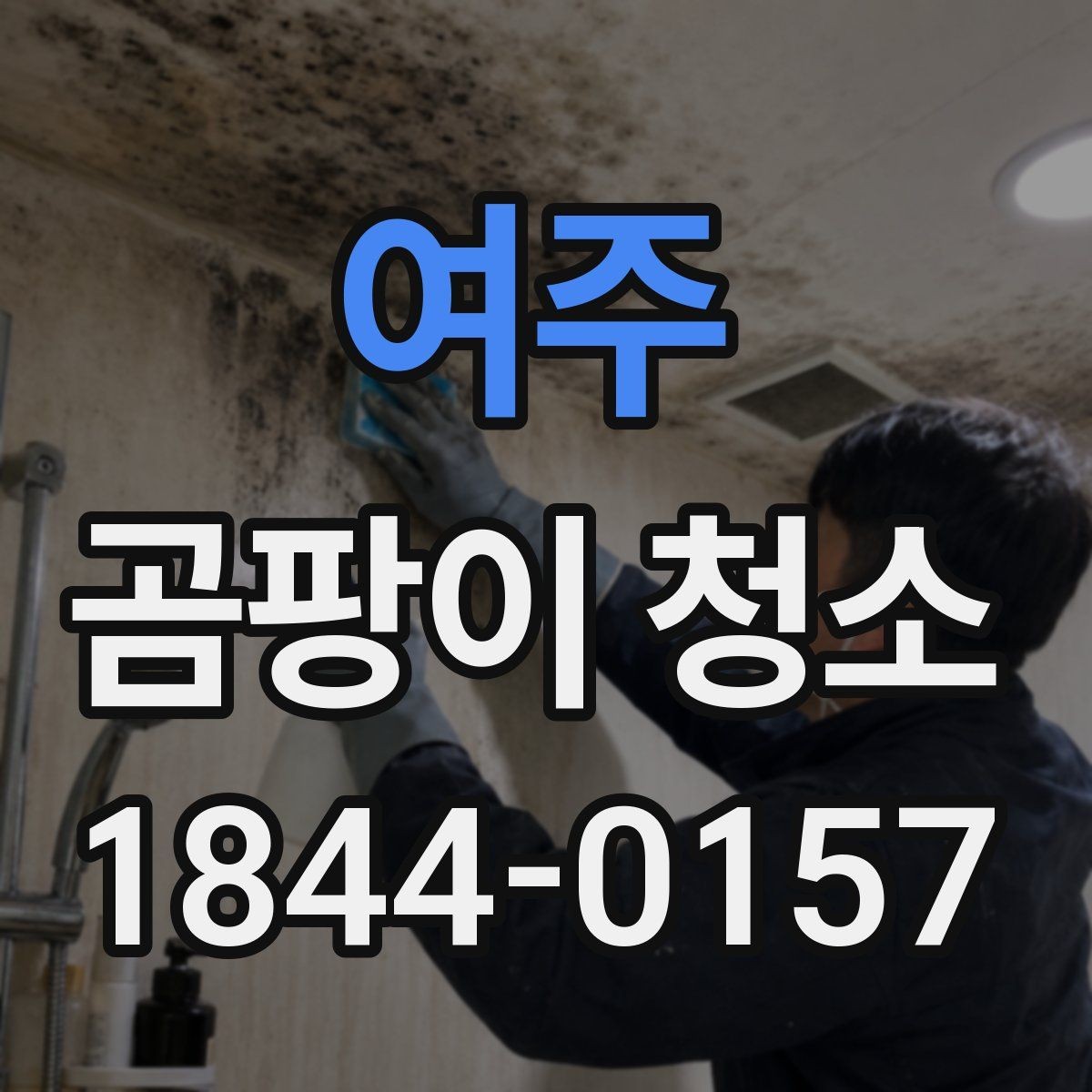 여주 곰팡이 청소 시 약품 사용 시 신경 써야 할 부분