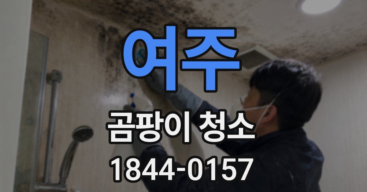 여주 곰팡이 청소