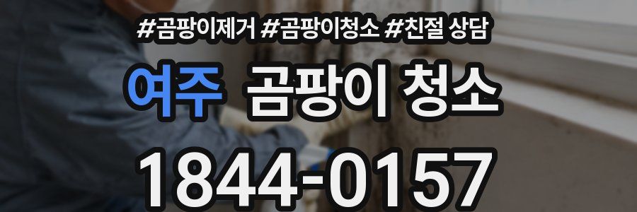여주 곰팡이 청소