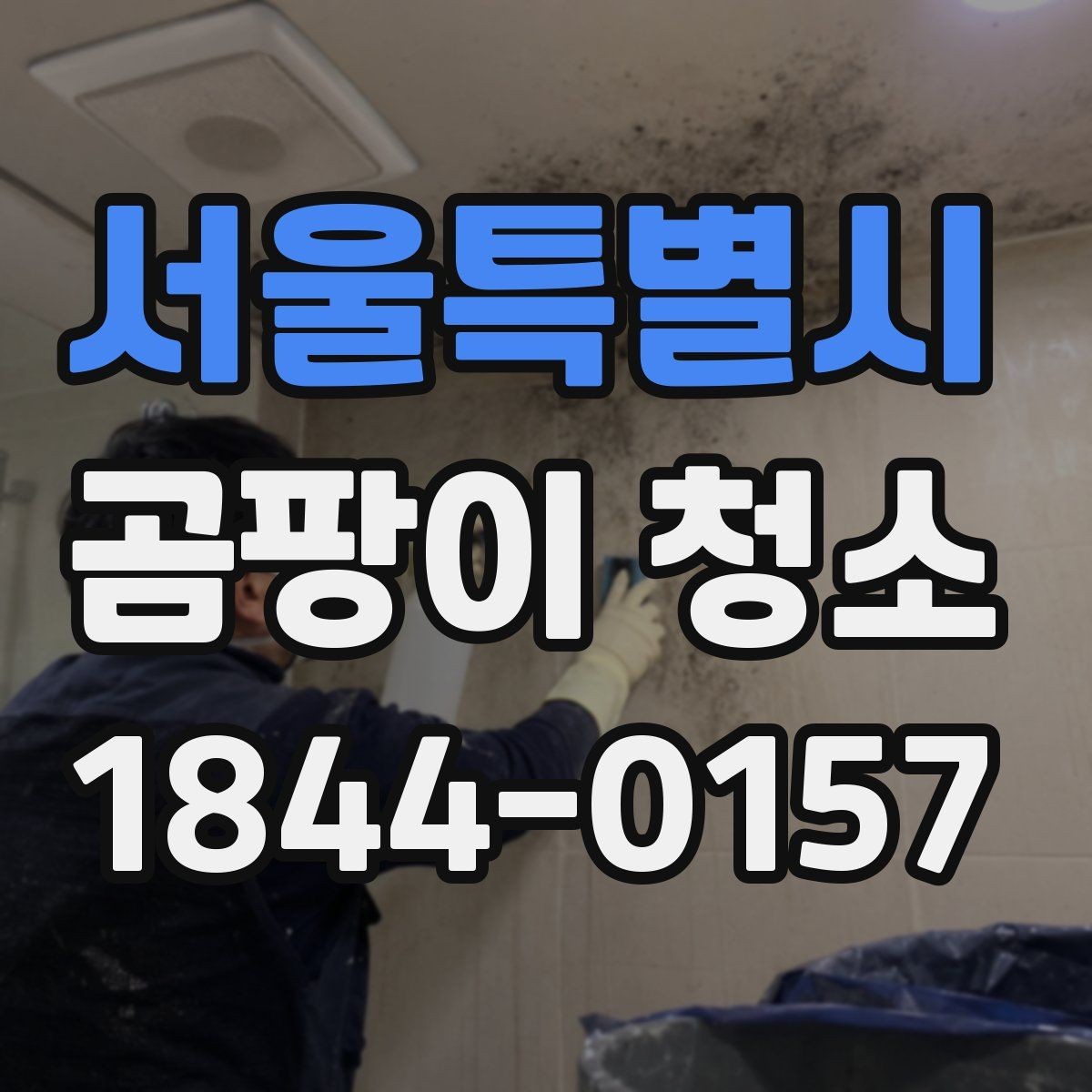 서울특별시 곰팡이 청소 시 약품 사용 시 신경 써야 할 부분