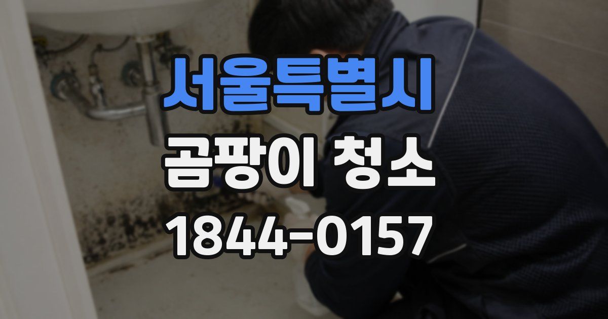 서울특별시 곰팡이 청소