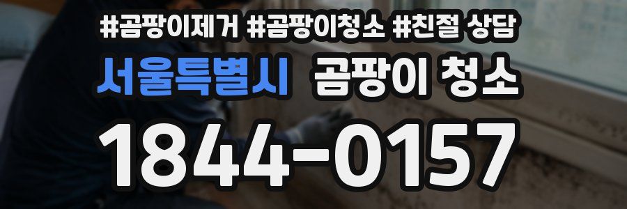 서울특별시 곰팡이 청소