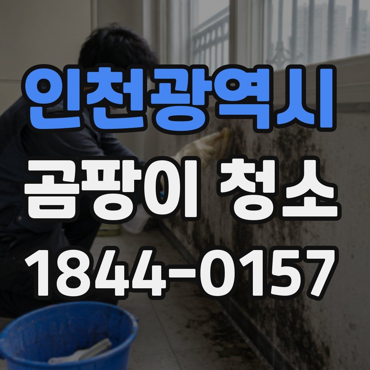 인천광역시 곰팡이 청소 전 원인 진단이 중요한 이유