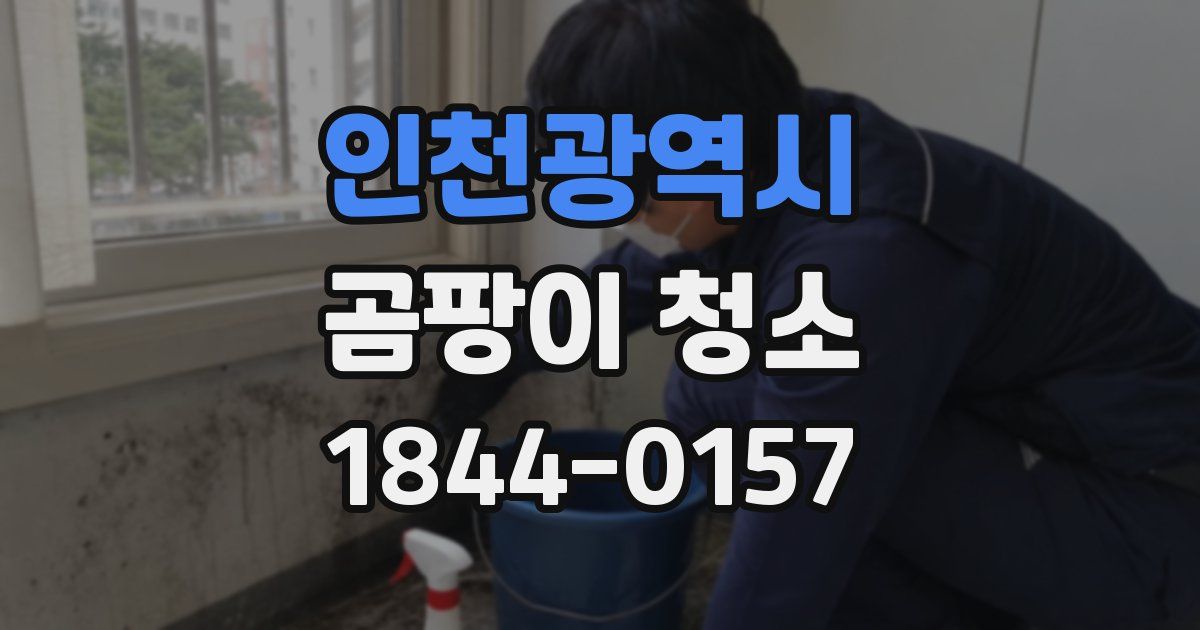 인천광역시 곰팡이 청소