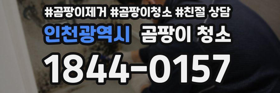 인천광역시 곰팡이 청소