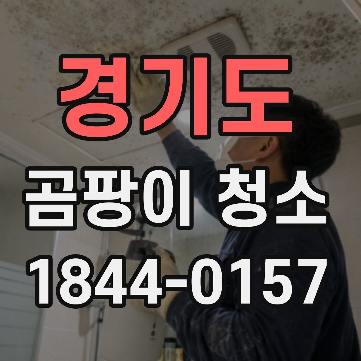 경기도 곰팡이 청소 업체 방문 시 질문 리스트