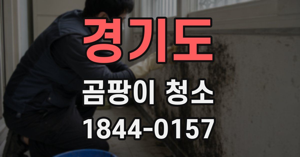 경기도 곰팡이 청소