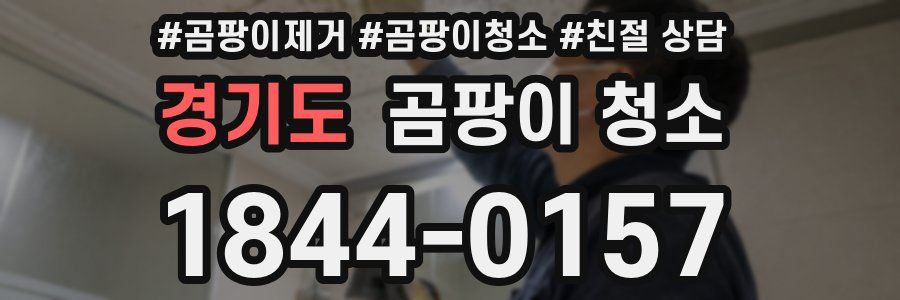 경기도 곰팡이 청소