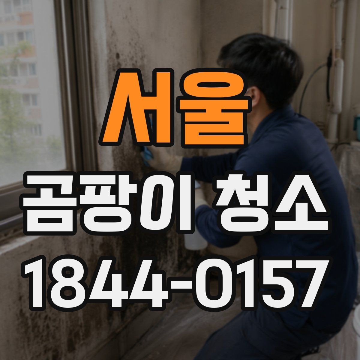 서울 곰팡이 청소 범위는 어디까지 봐야 할까