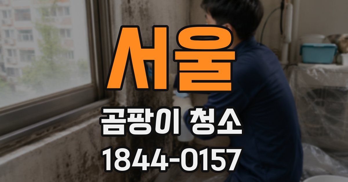 서울 곰팡이 청소