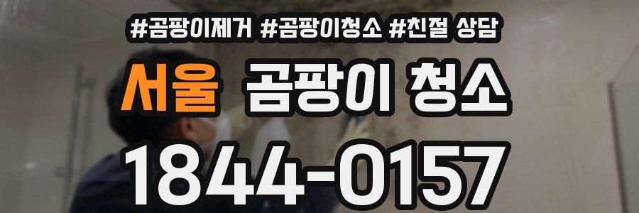 서울 곰팡이 청소
