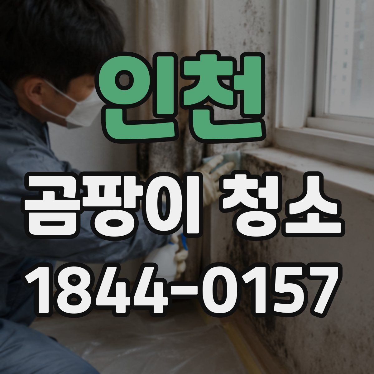 인천 곰팡이 청소 비용과 범위, 어떻게 확인할까
