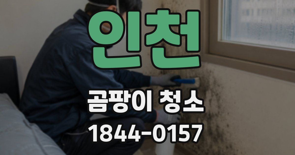 인천 곰팡이 청소