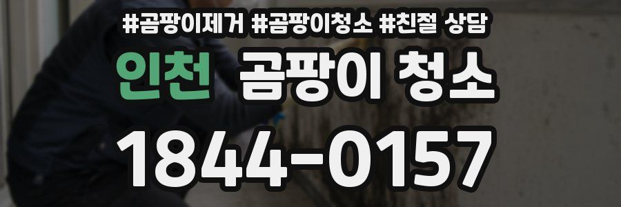 인천 곰팡이 청소