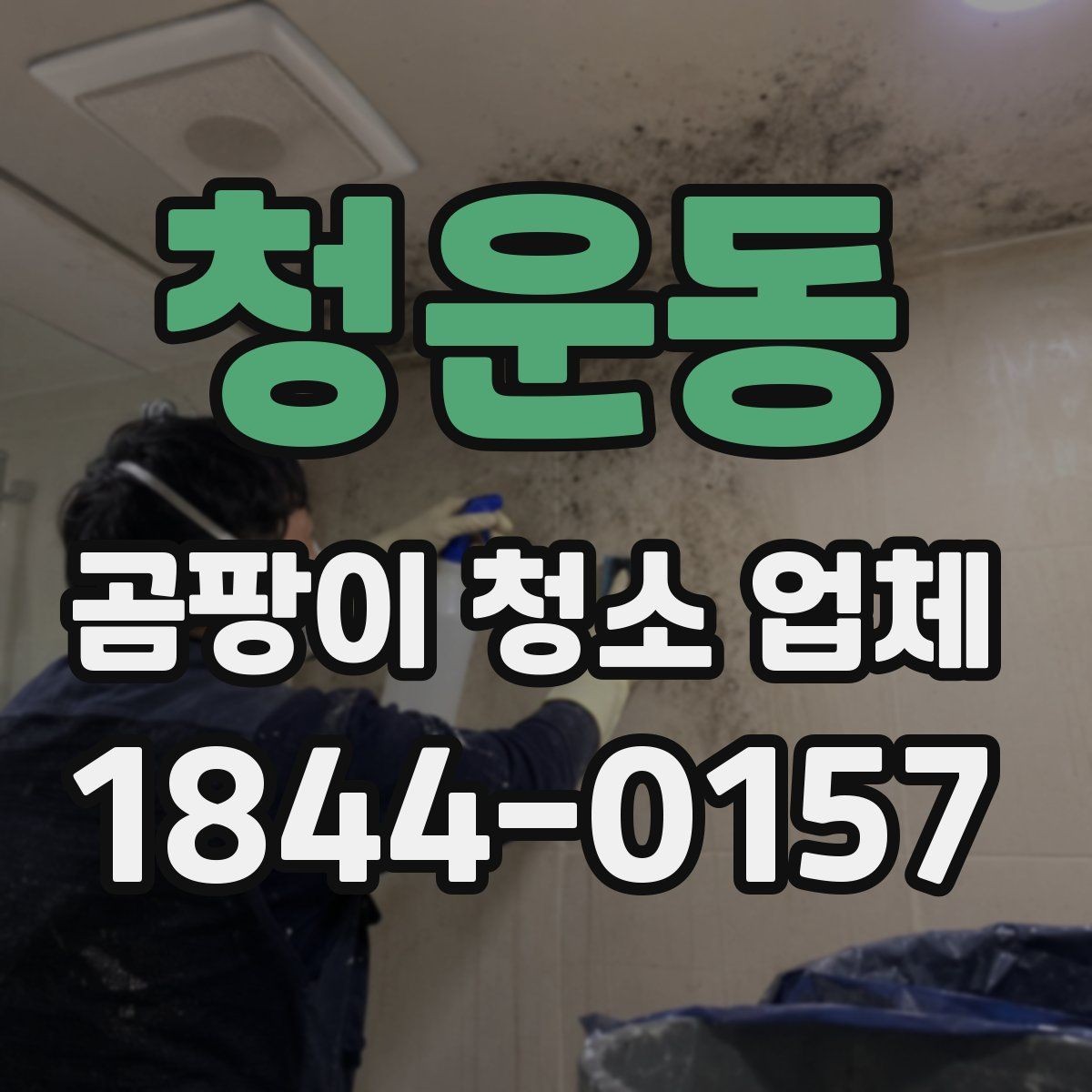 청운동 곰팡이 청소 업체 상담 때 물어볼 핵심 질문
