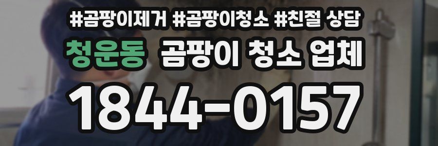 청운동 곰팡이 청소 업체