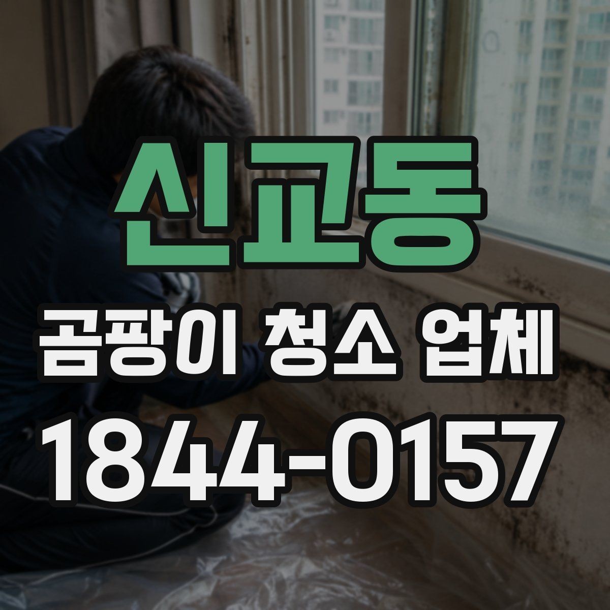 신교동 곰팡이 청소 업체 예약 전 점검해야 할 부분