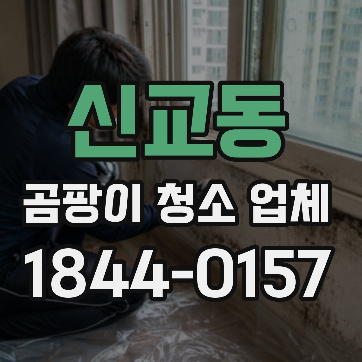 신교동 곰팡이 청소 업체