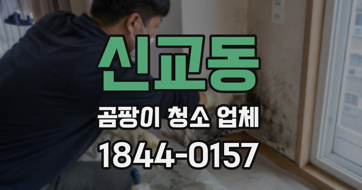 신교동 곰팡이 청소 업체
