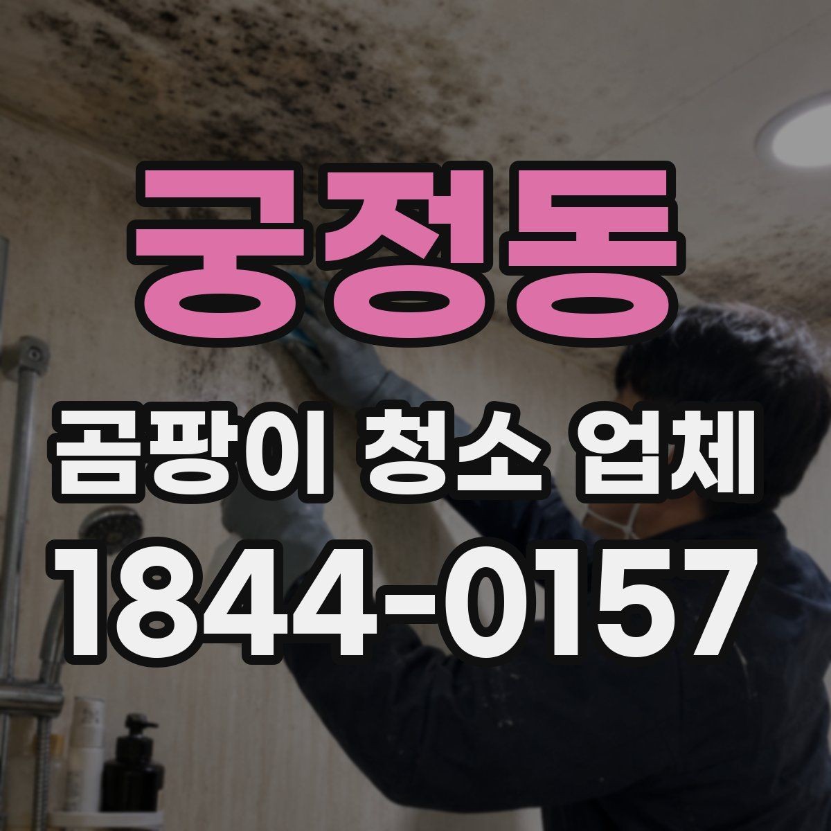 궁정동 곰팡이 청소 업체 선정에 도움이 되는 체크리스트
