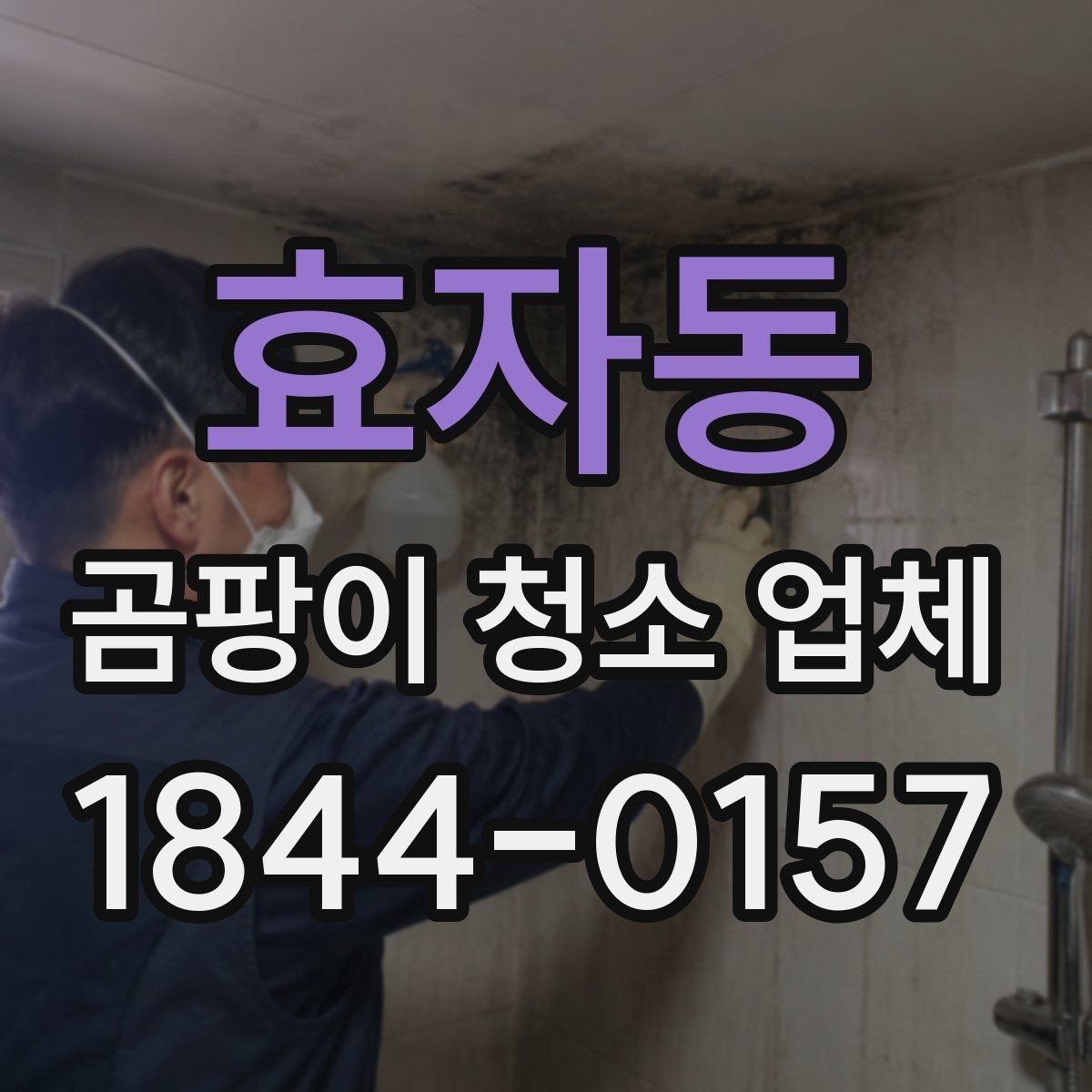 효자동 곰팡이 청소 업체 후기에서 자주 나오는 내용
