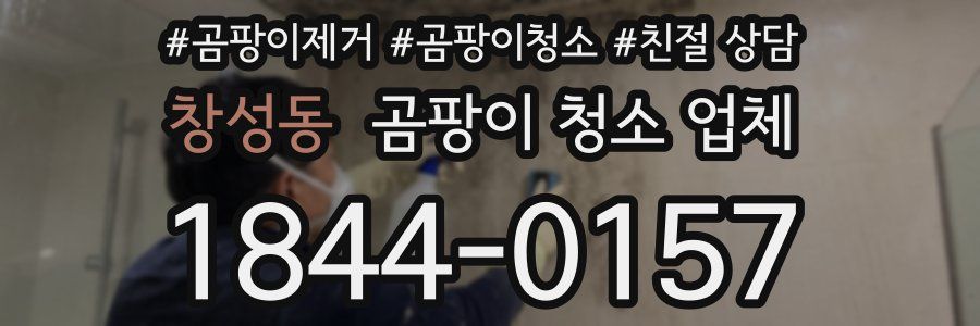 창성동 곰팡이 청소 업체