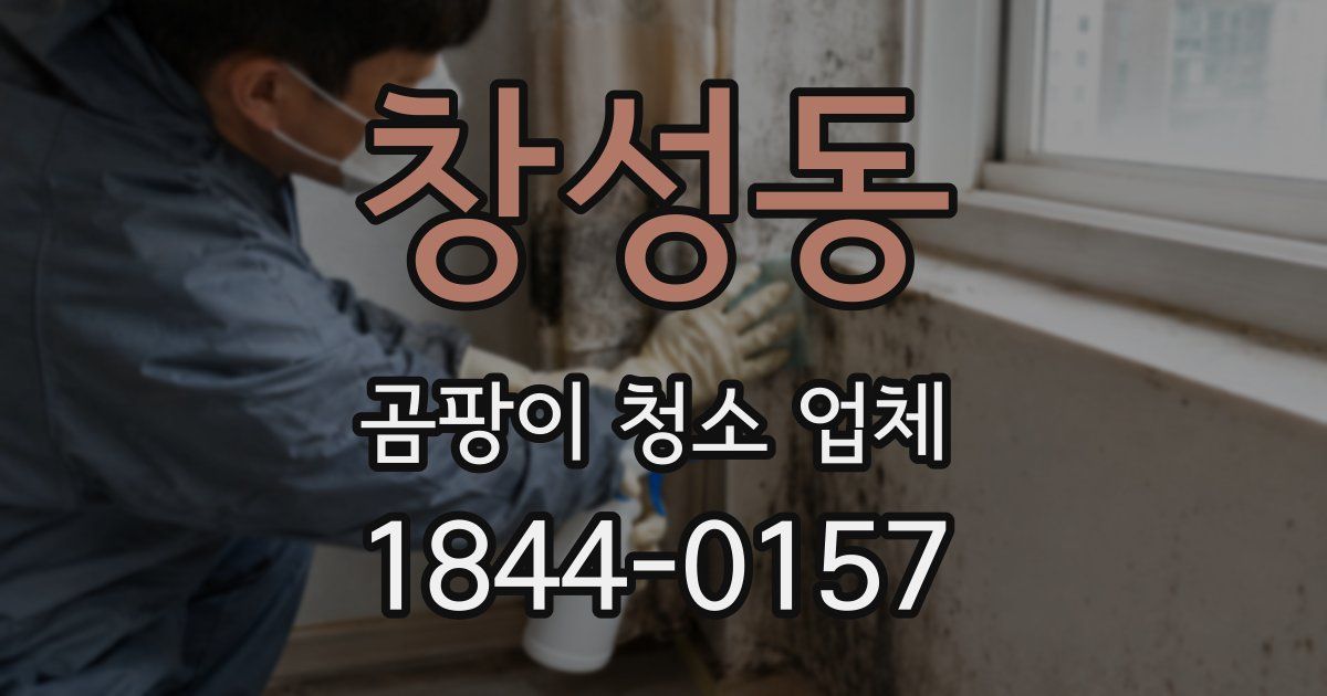 창성동 곰팡이 청소 업체