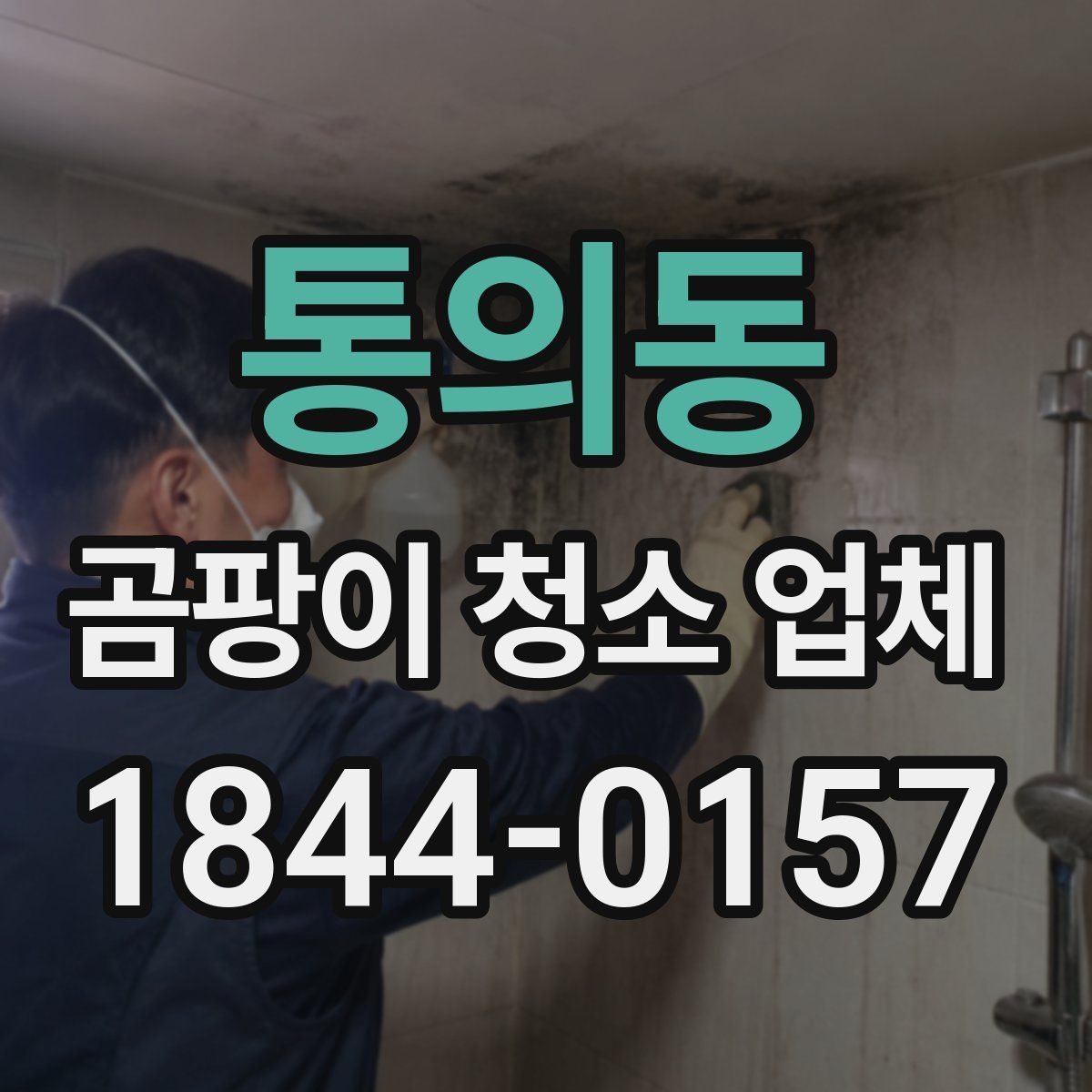 통의동 곰팡이 청소 업체