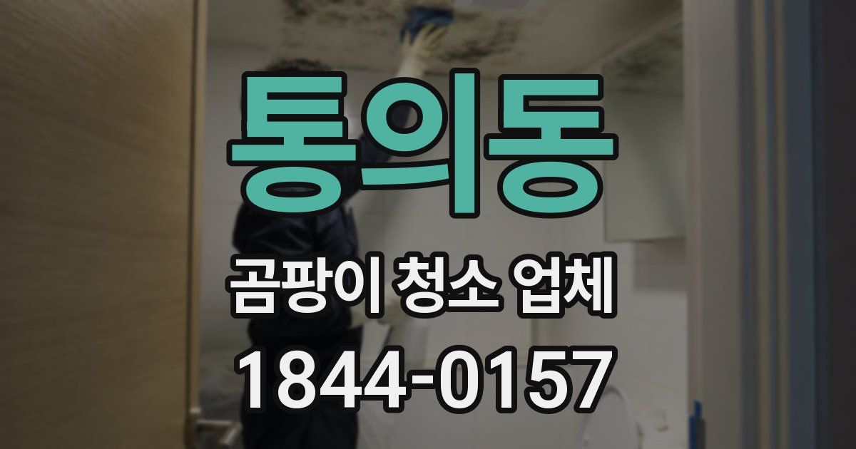 통의동 곰팡이 청소 업체