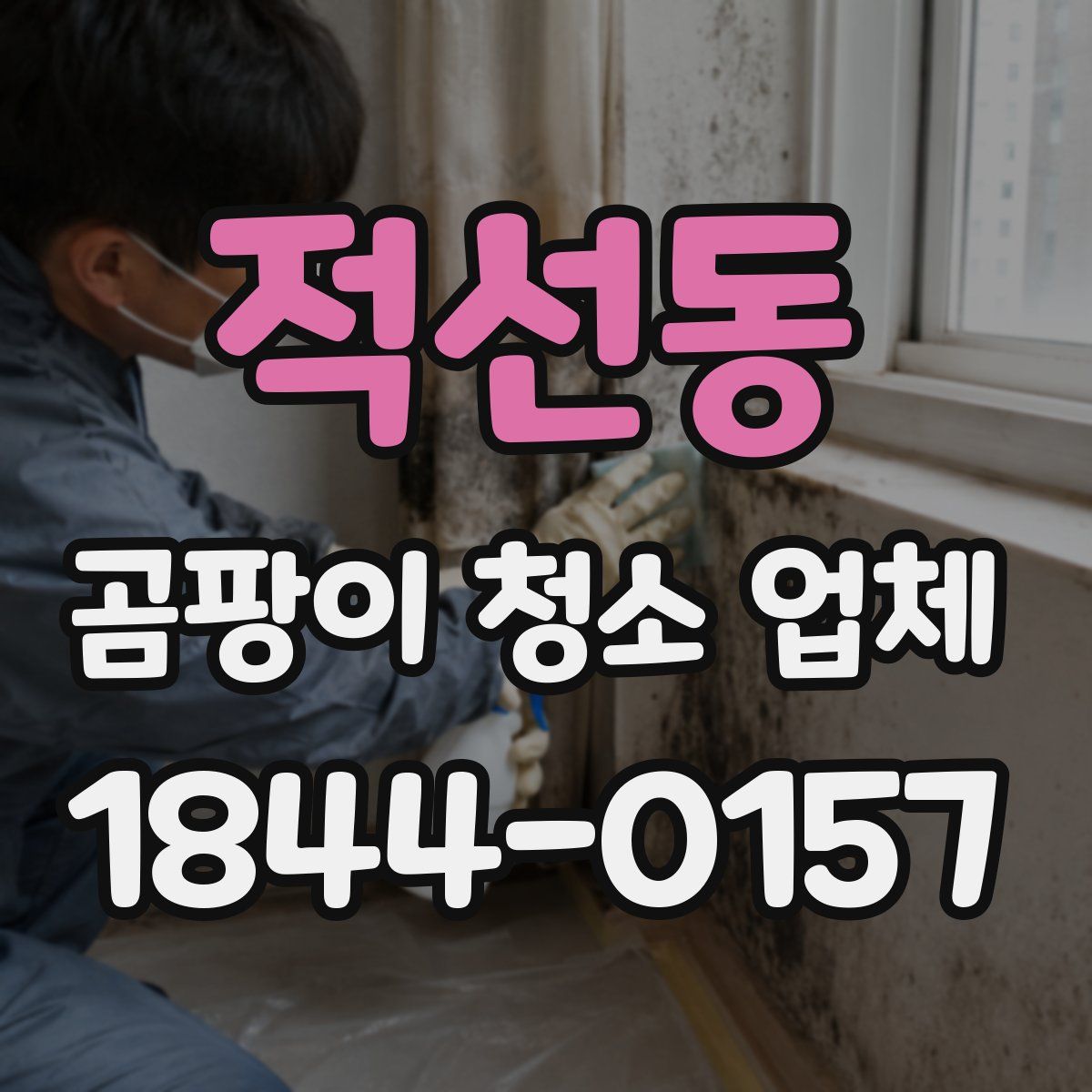 적선동 곰팡이 청소 업체