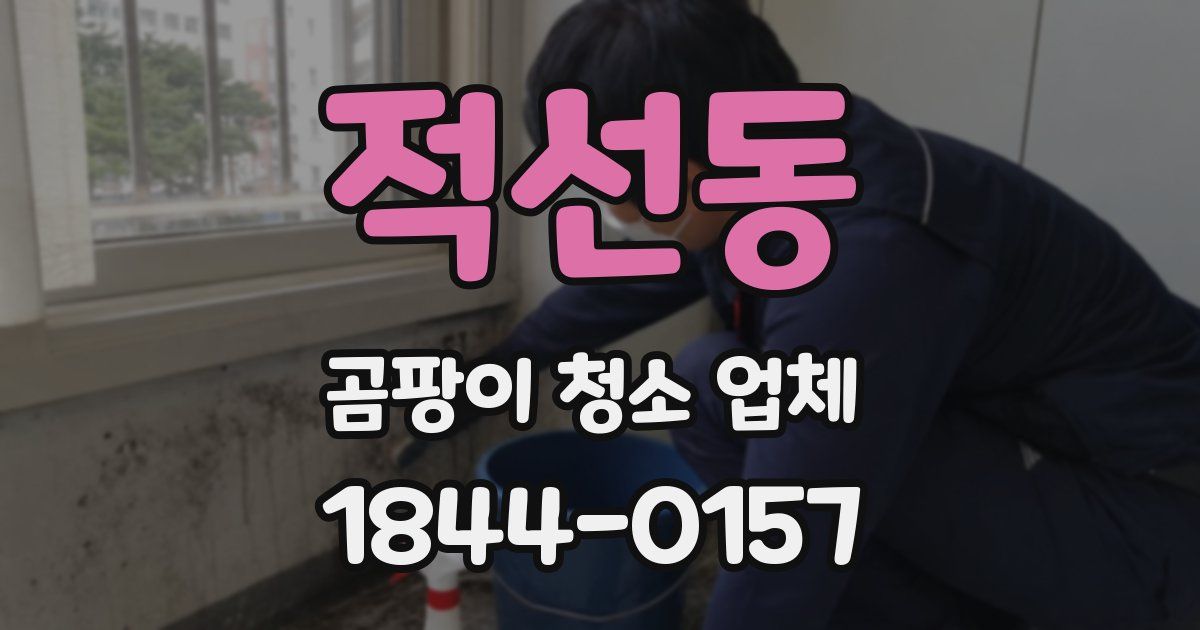 적선동 곰팡이 청소 업체