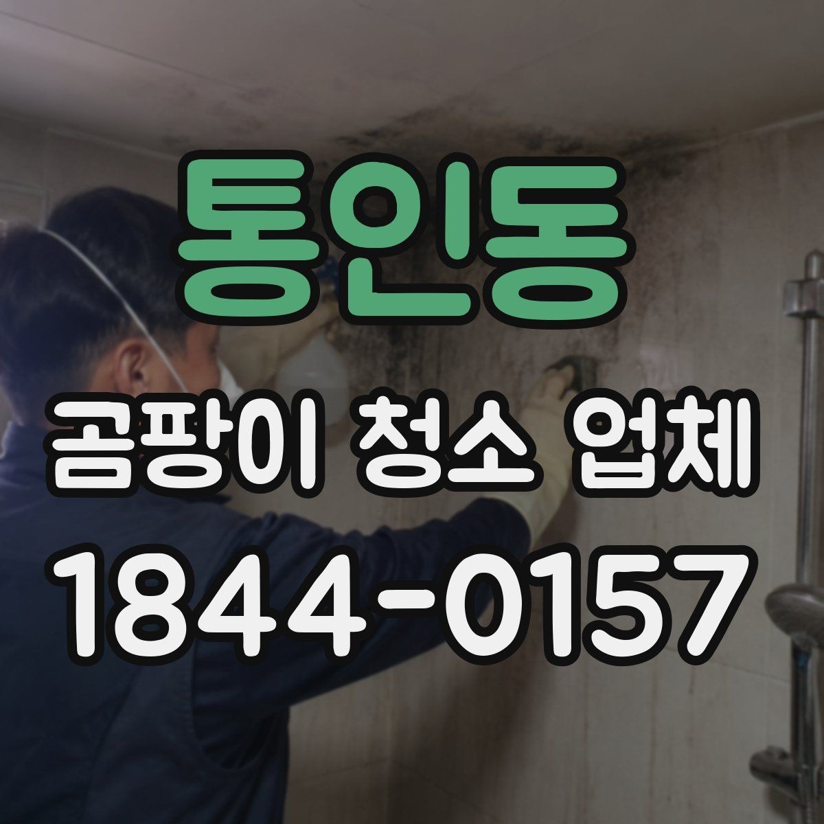 통인동 곰팡이 청소 업체 이용 전 설명서처럼 읽는 기본 정보