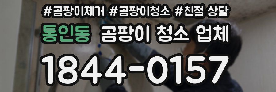 통인동 곰팡이 청소 업체