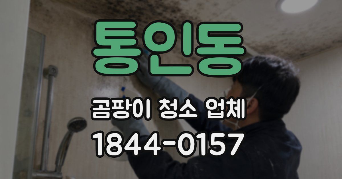 통인동 곰팡이 청소 업체