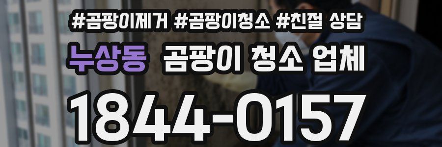 누상동 곰팡이 청소 업체