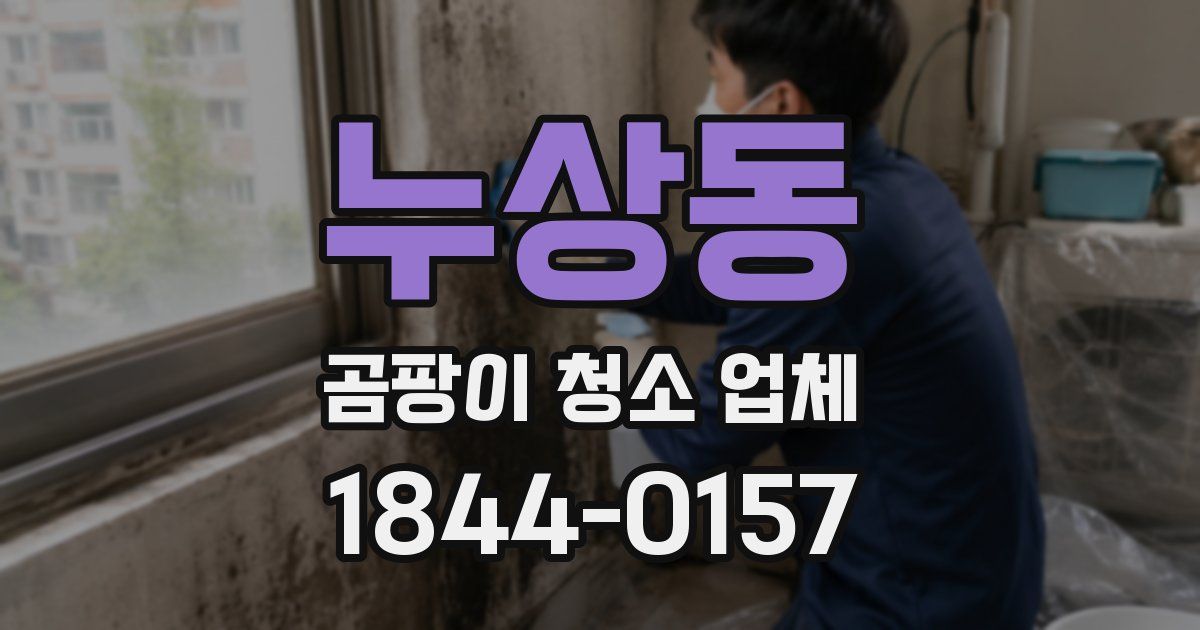 누상동 곰팡이 청소 업체