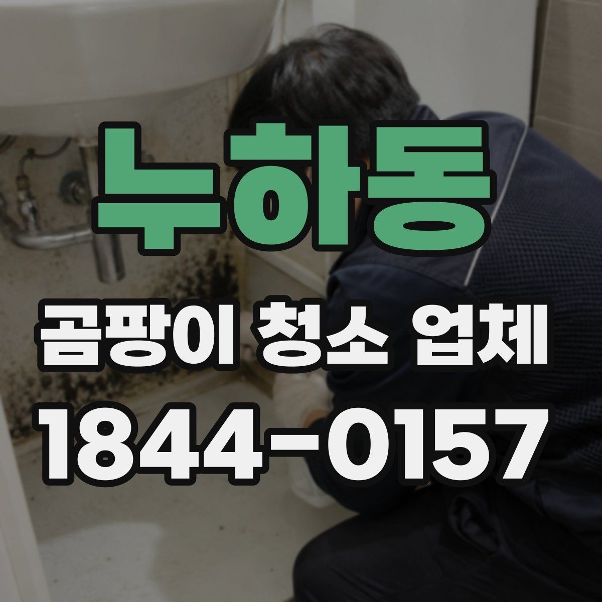 누하동 곰팡이 청소 업체 후기와 실제 견적 차이 살피기