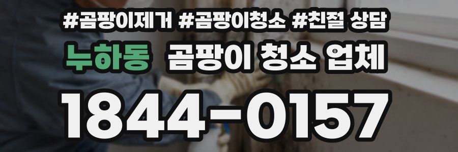 누하동 곰팡이 청소 업체