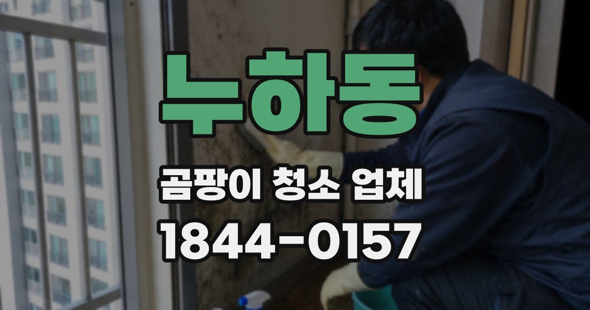 누하동 곰팡이 청소 업체