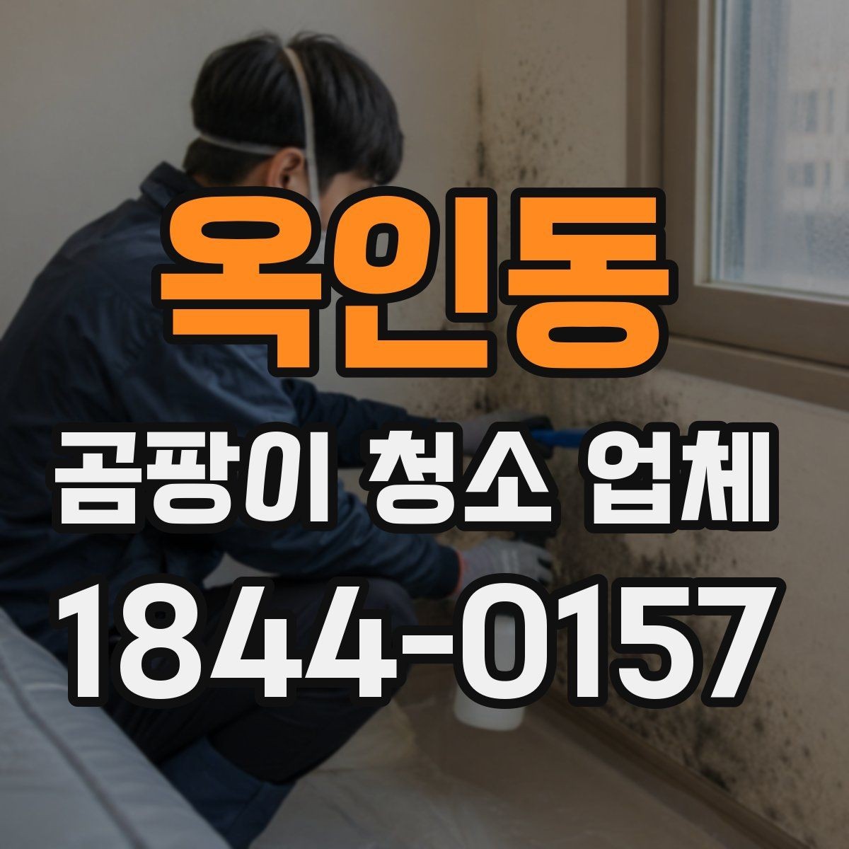 옥인동 곰팡이 청소 업체 선택에 필요한 최소한의 정보