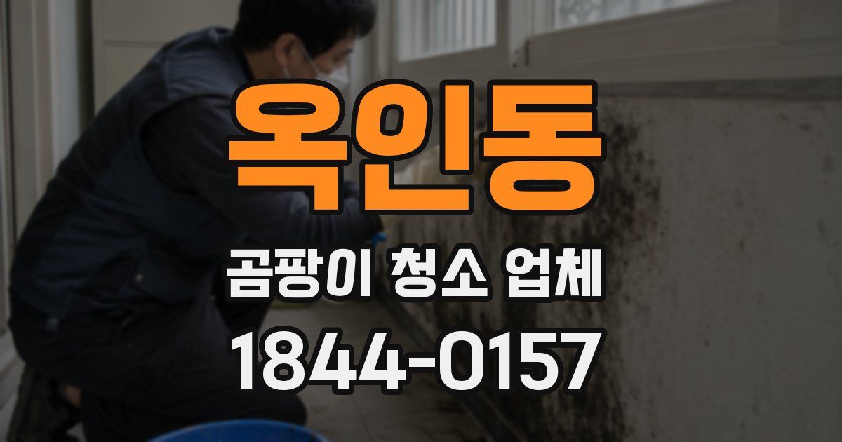 옥인동 곰팡이 청소 업체