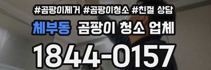 체부동 곰팡이 청소 업체