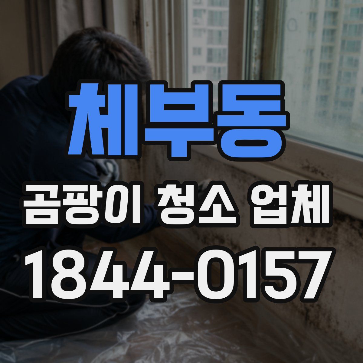체부동 곰팡이 청소 업체