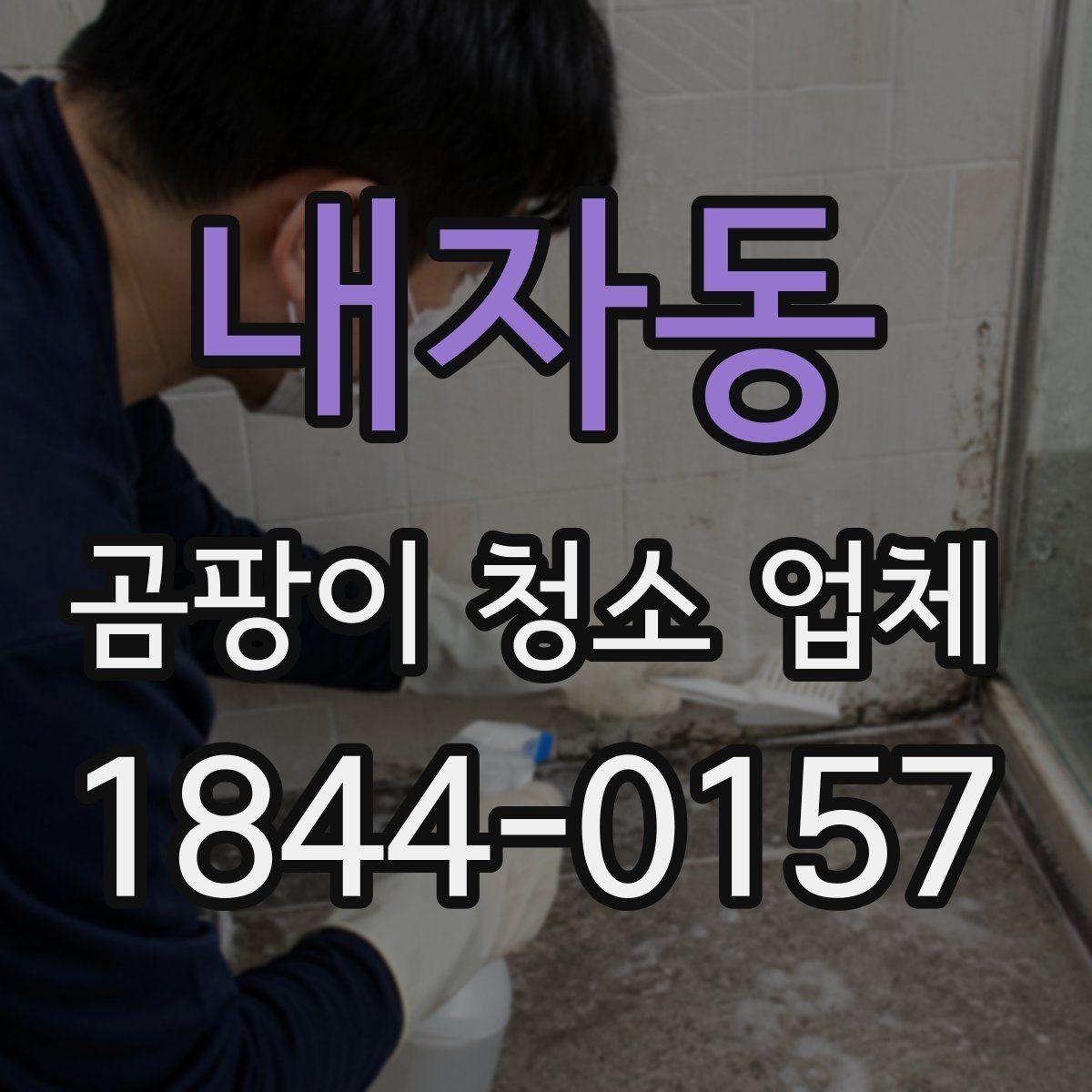 내자동 곰팡이 청소 업체 선택 전 확인할 점