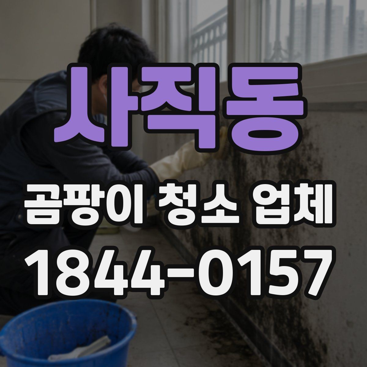사직동 곰팡이 청소 업체 작업 범위에 포함되는 항목