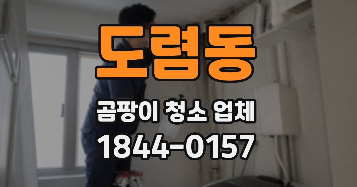 도렴동 곰팡이 청소 업체