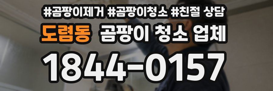 도렴동 곰팡이 청소 업체